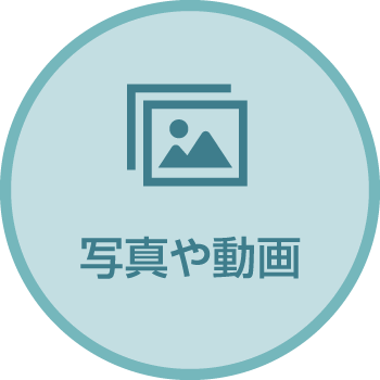 写真や動画