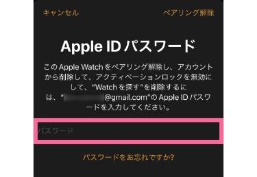 Apple IDのパスワードを入力